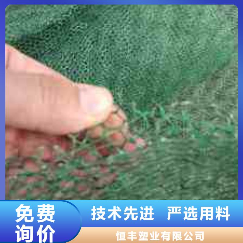 三维植被网护坡技术
