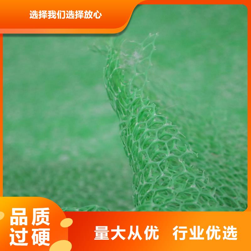 三维植被网护坡技术