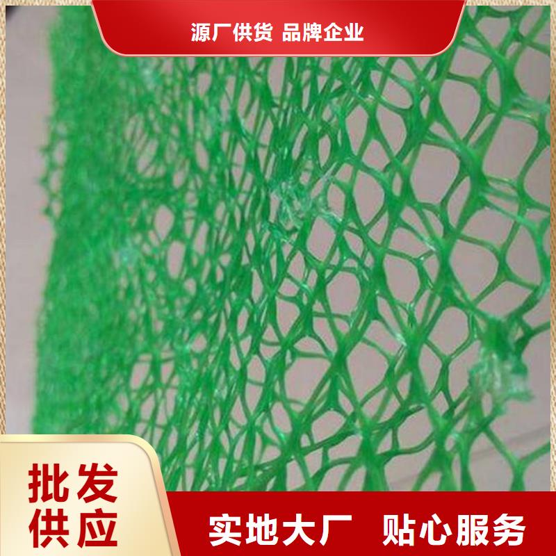 专业植草三维植被网_厂家直销_植草三维植被网_优质供货