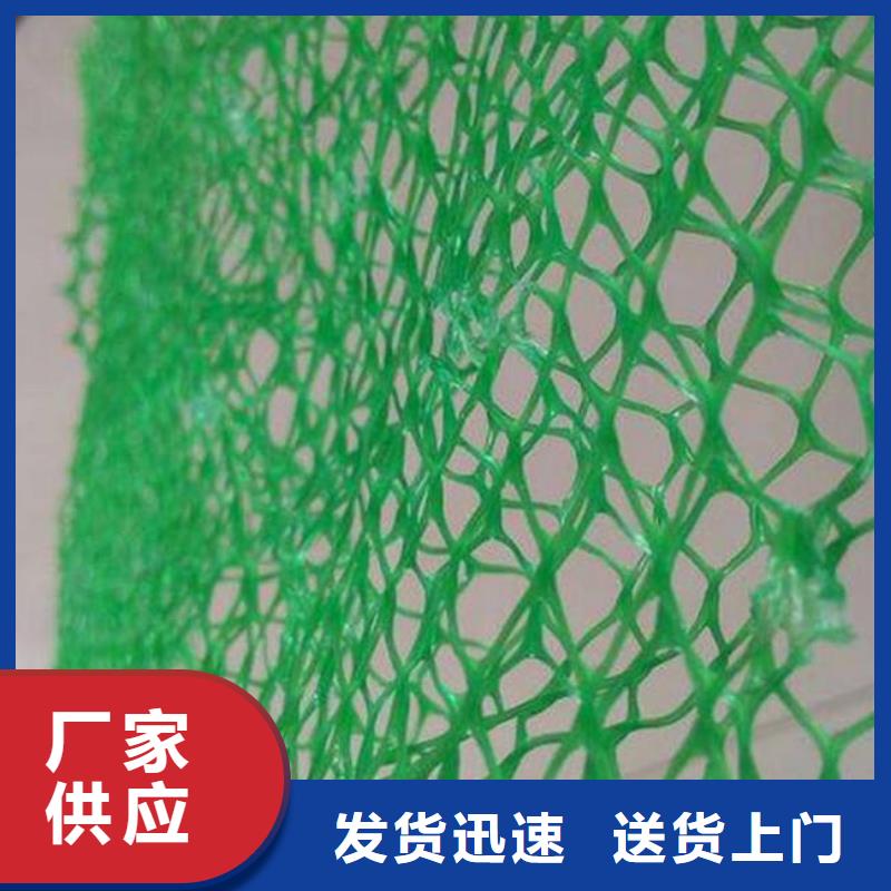 三维植被网_三维网垫植草护坡_三维土工网垫厂家