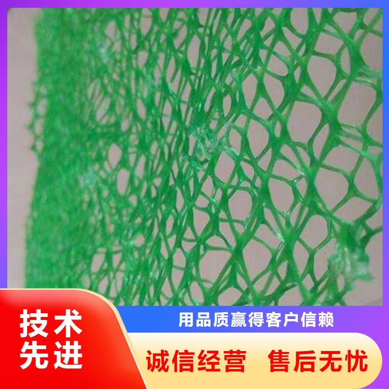 三维植被网|三维土工网垫【三维植被网厂家