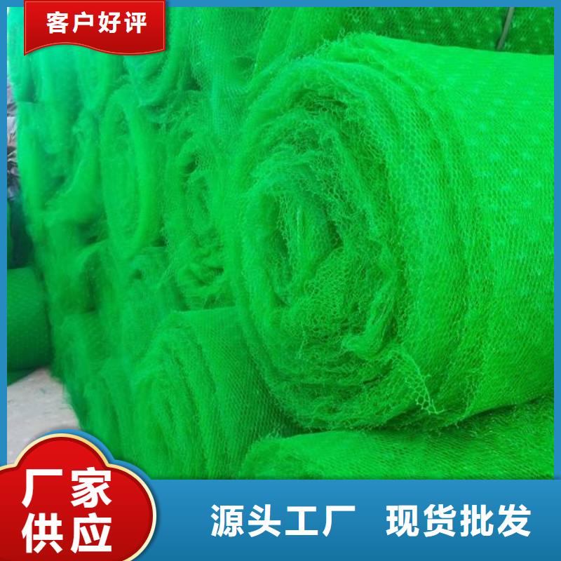 三维植被网PP焊接土工格栅精品选购