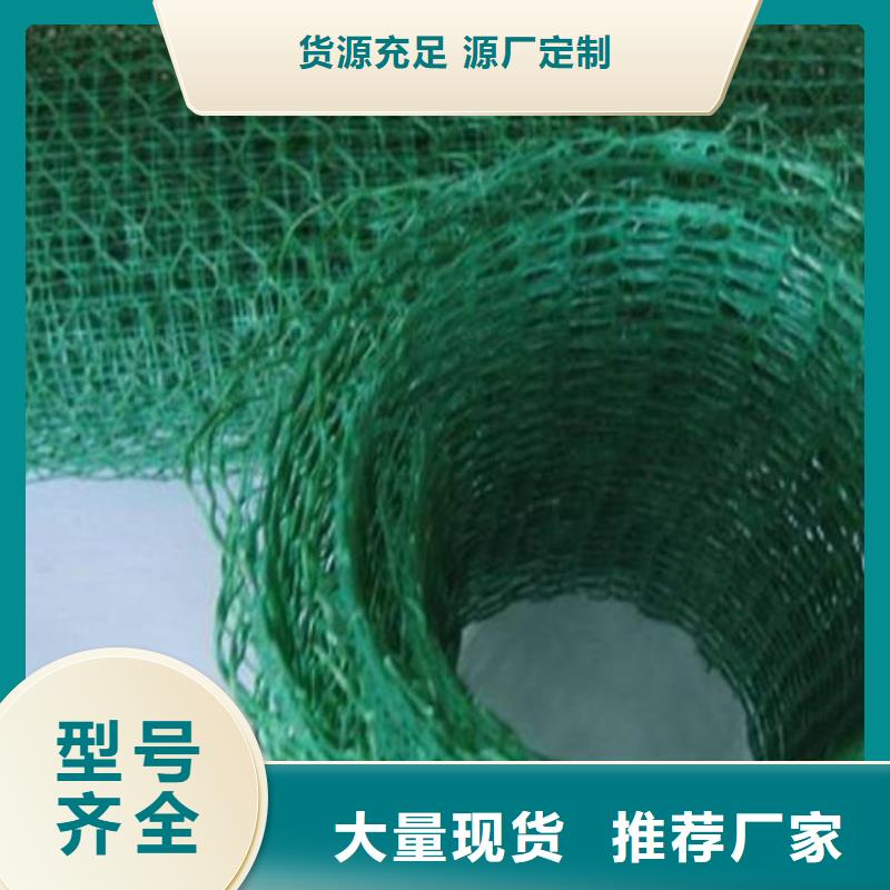 三维植被网护坡技术