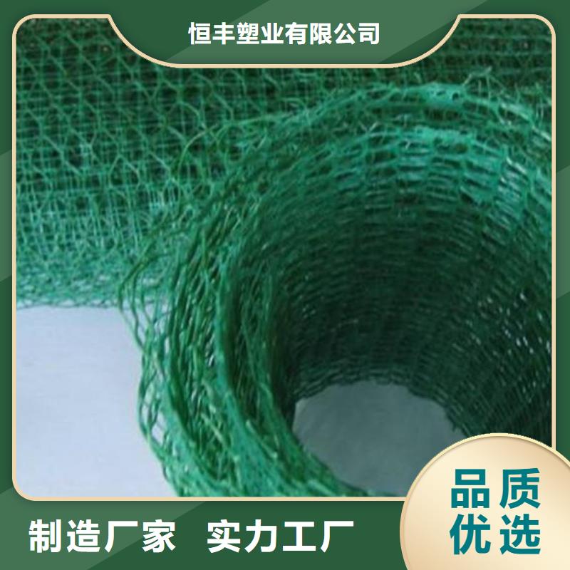 三维植被网垫生产商家厂家地址