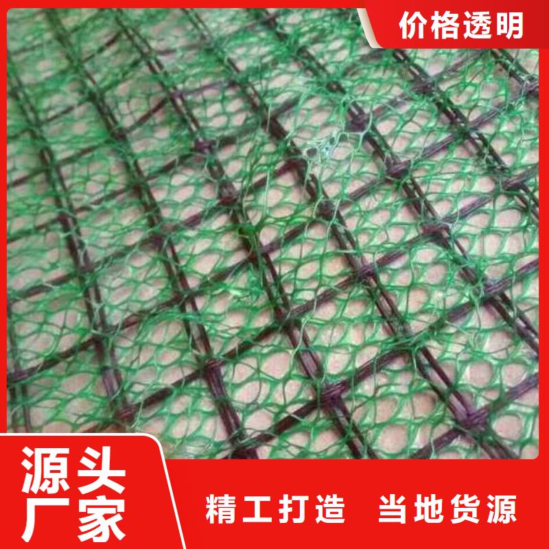 三维植被网_三维网垫植草护坡_三维土工网垫厂家
