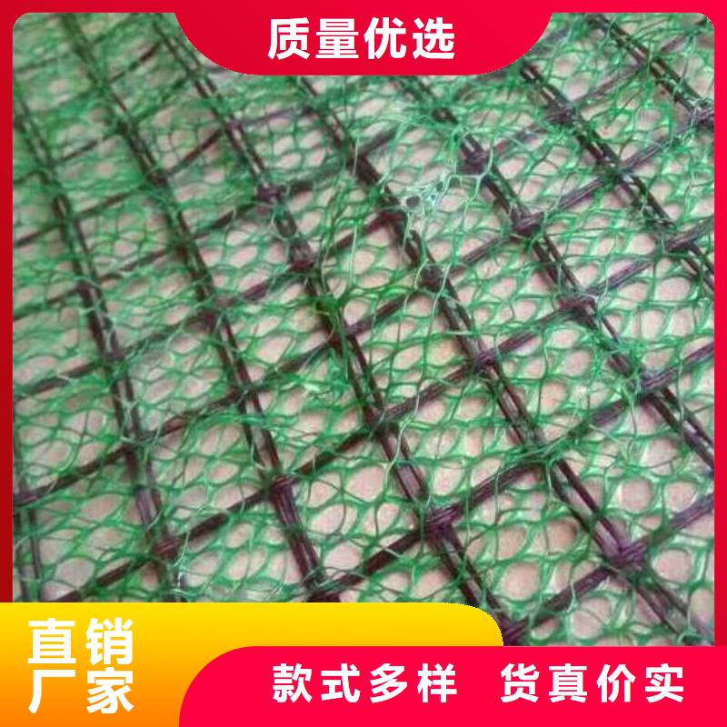 三维植被网|三维土工网垫【三维植被网厂家