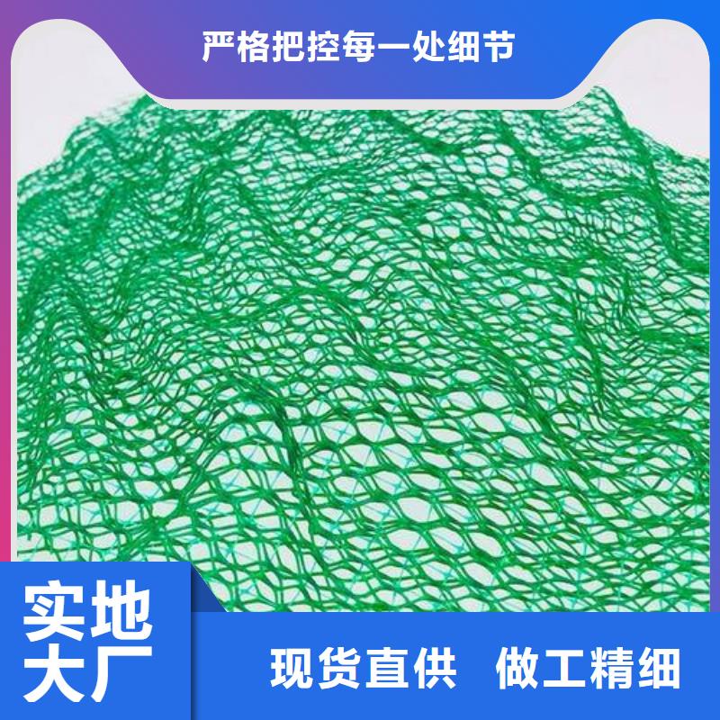 三维植被网复合土工膜优选好材铸造好品质