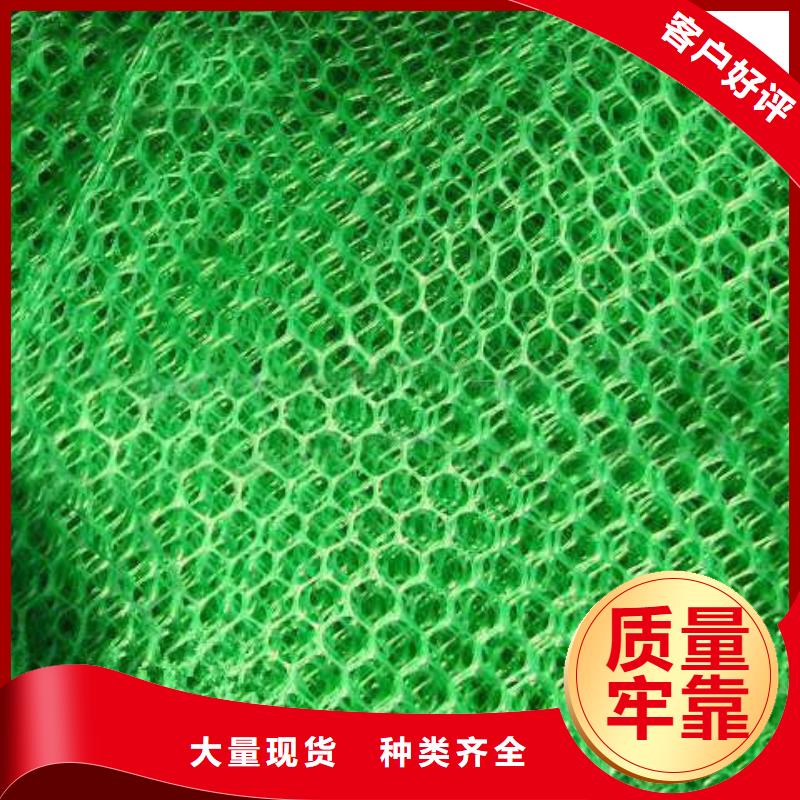 防渗膜价格_膨润土防水毯批发_土工网生产厂家_三维植被网