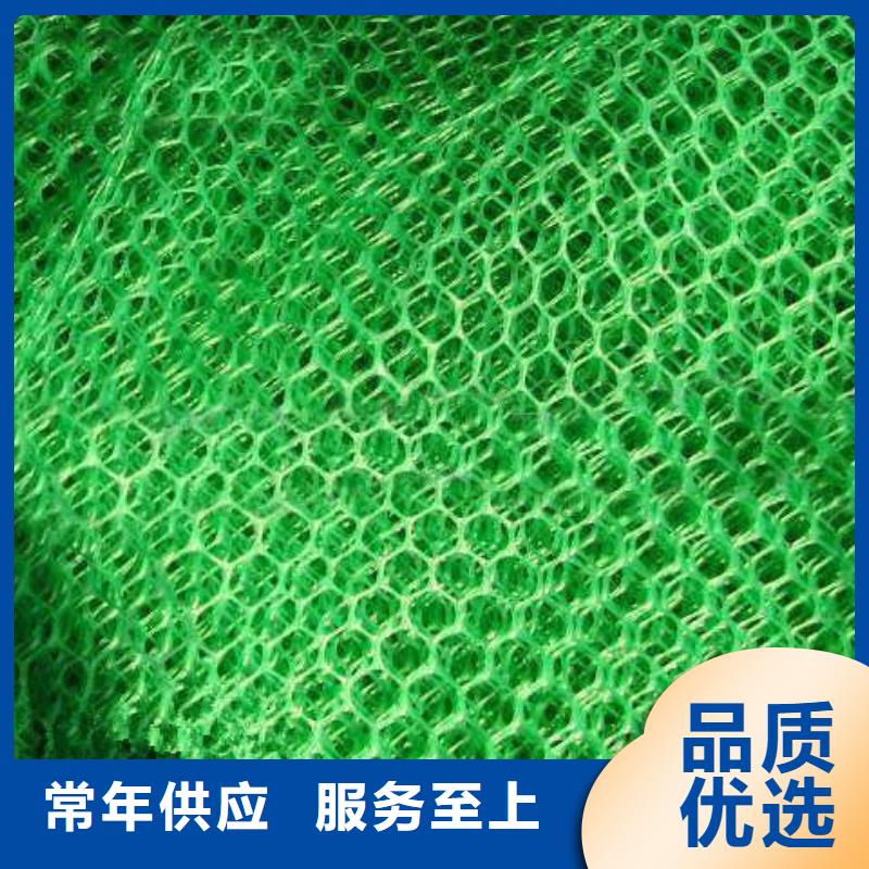 专业植草三维植被网_厂家直销_植草三维植被网_优质供货