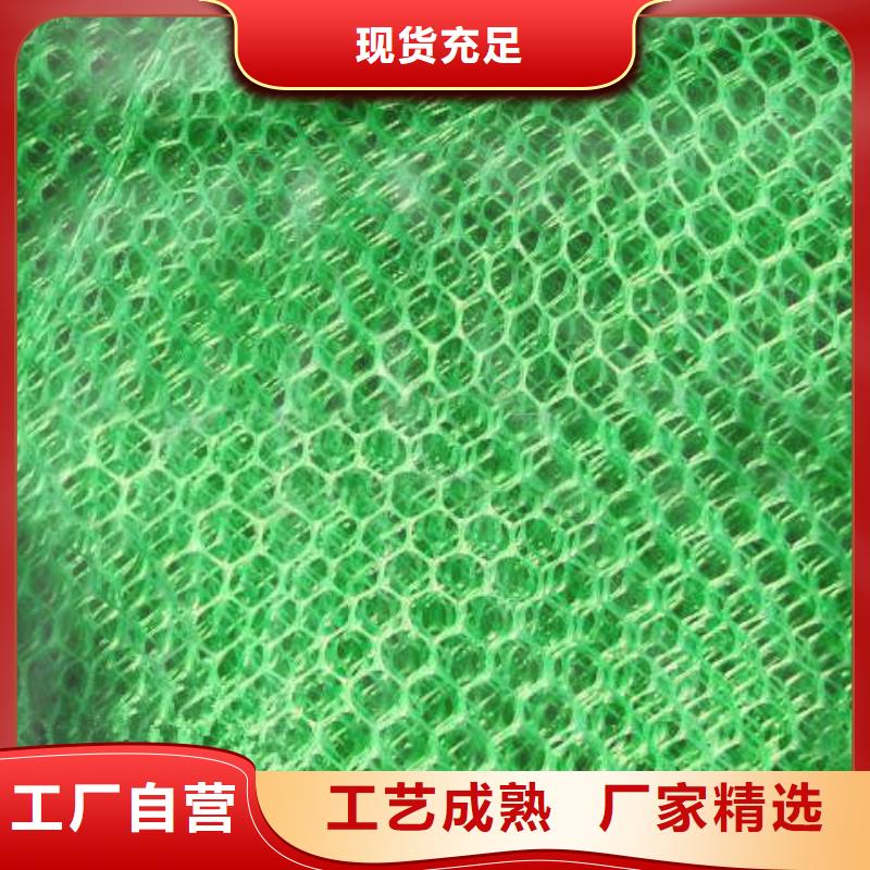 三维植被网护坡技术