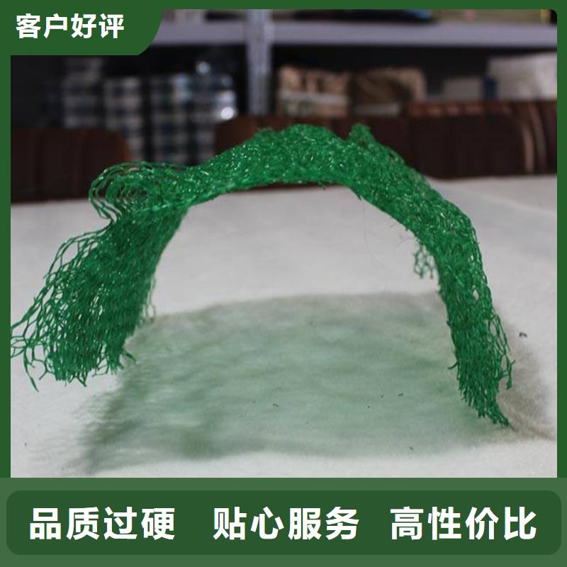 三维植被网厂家_规格齐全