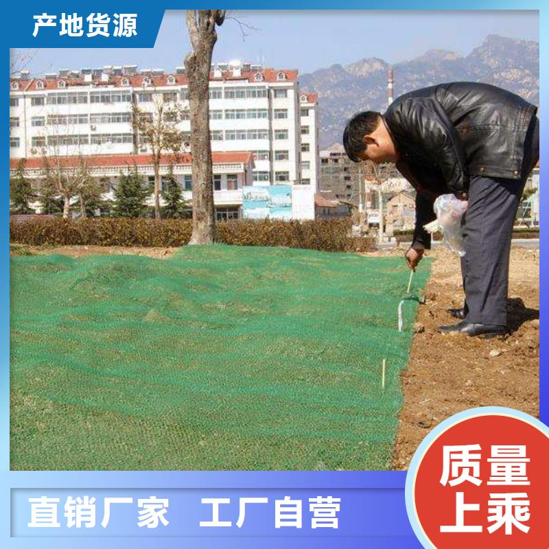 三维植被网-复合土工膜快速报价