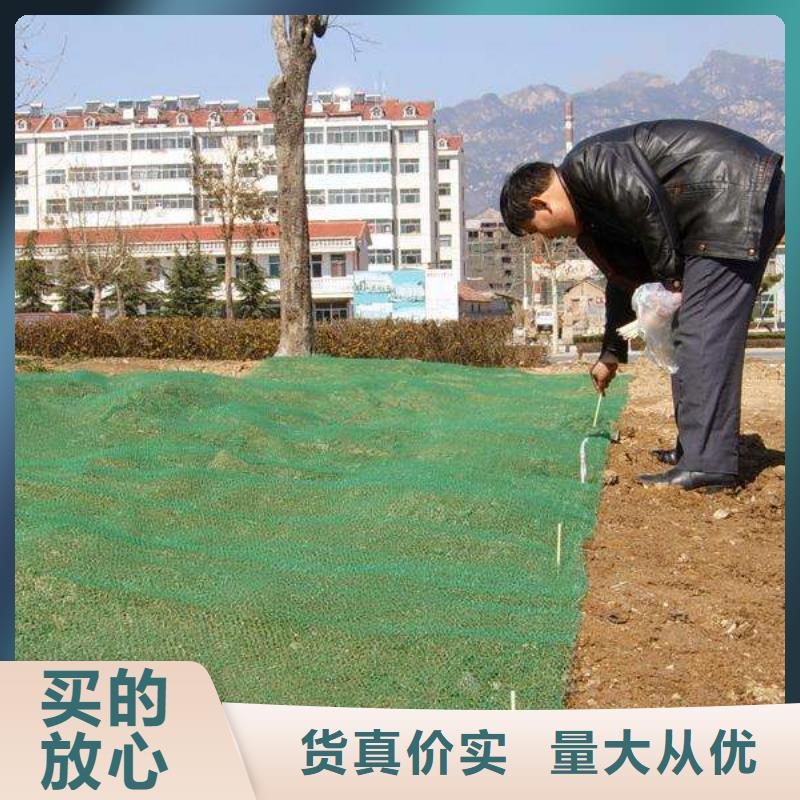 三维植被网专业的生产厂家