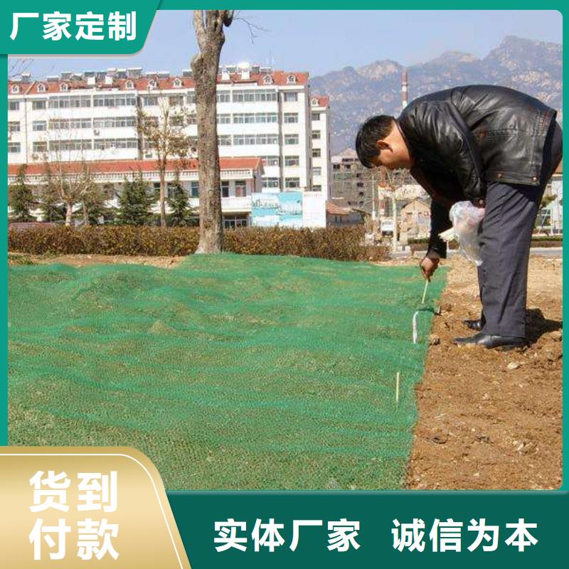 三维植被网-三维植被网批发、促销价格