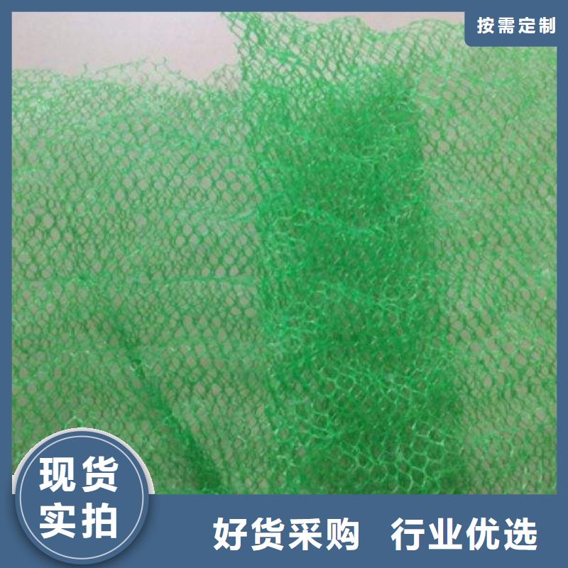 三维植被网-三维植被网批发、促销价格