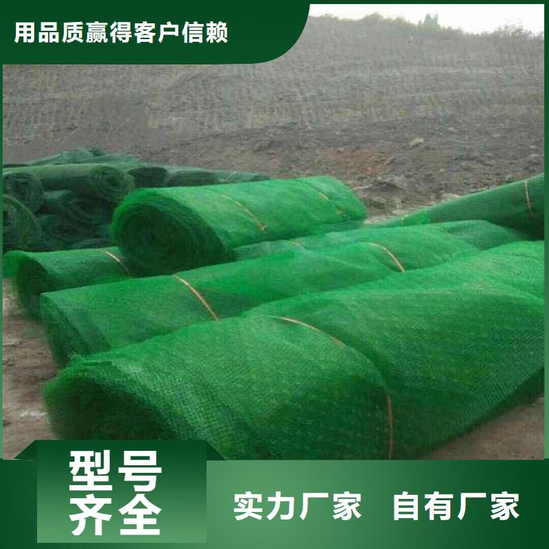 三维植被网-复合土工膜快速报价