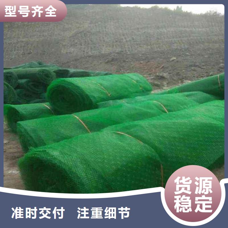 三维植被网|三维网垫植草护坡|三维土工网垫厂家