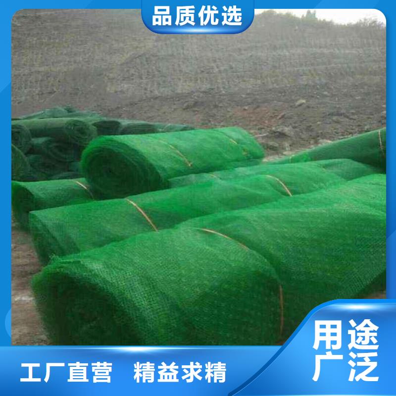 什么是三维植被网,有什么特点