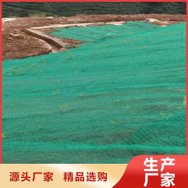 三维植被网单向塑料土工格栅为您精心挑选