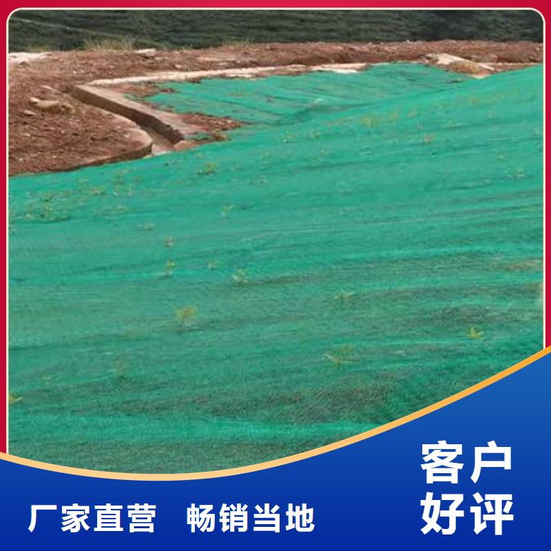 三维植被网|三维土工网垫【三维植被网厂家