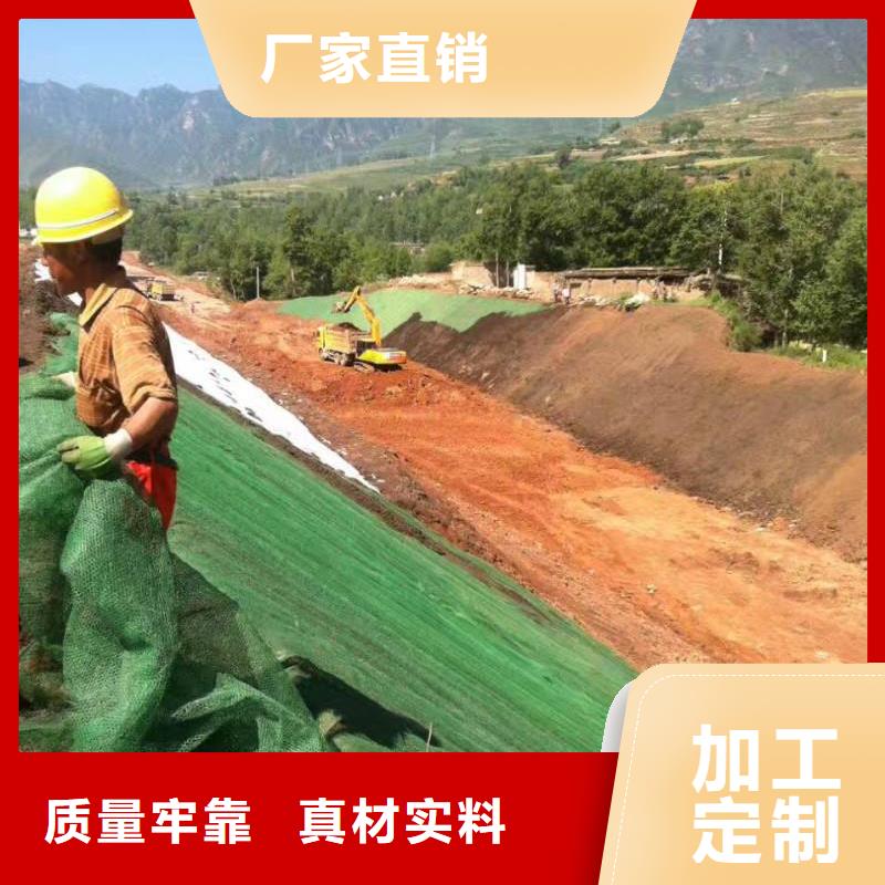 三维植被网蜂巢格室多年实力厂家