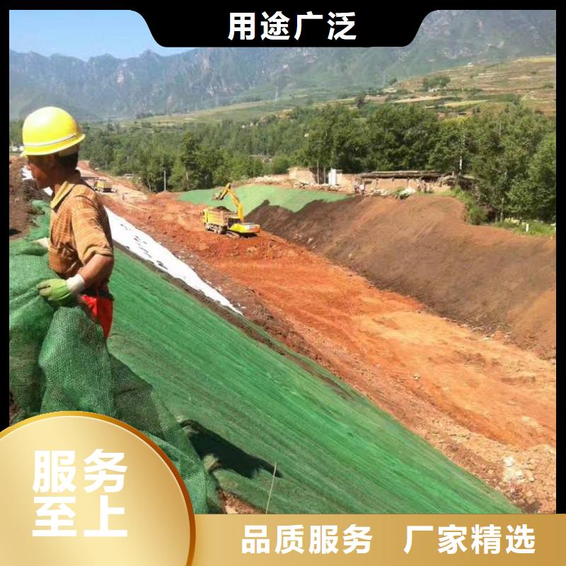 三维植被网_【土工滤网】经销商