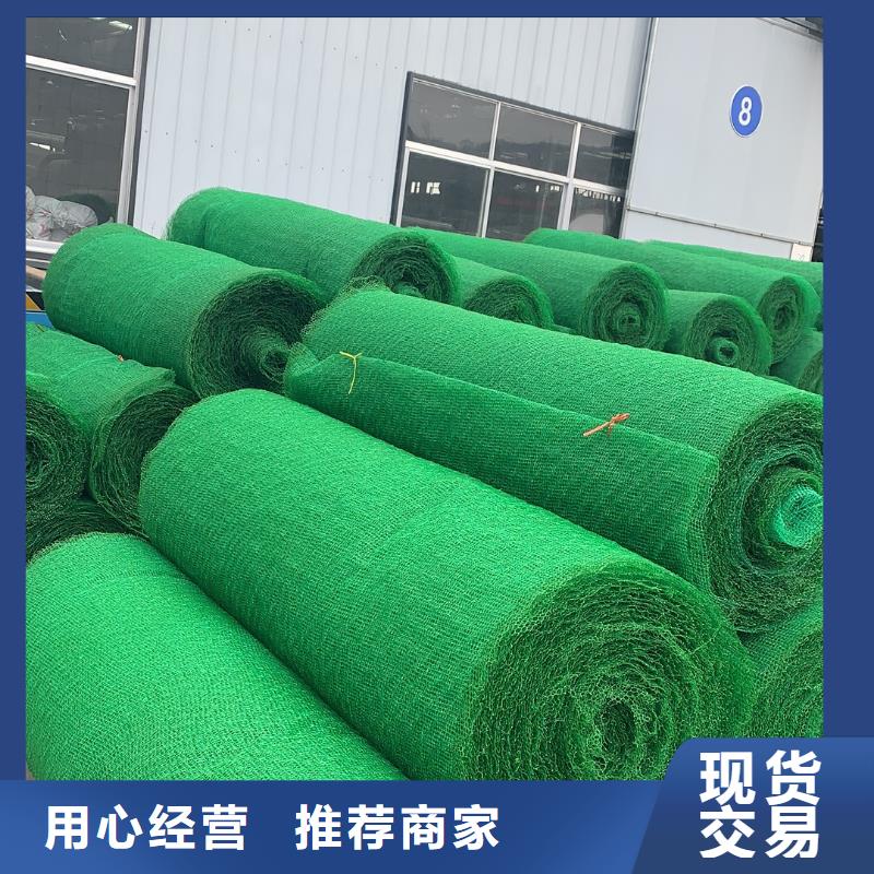 三维植被网-复合土工膜快速报价