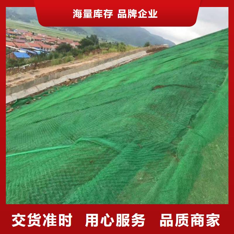 三维植被网复合土工膜优选好材铸造好品质