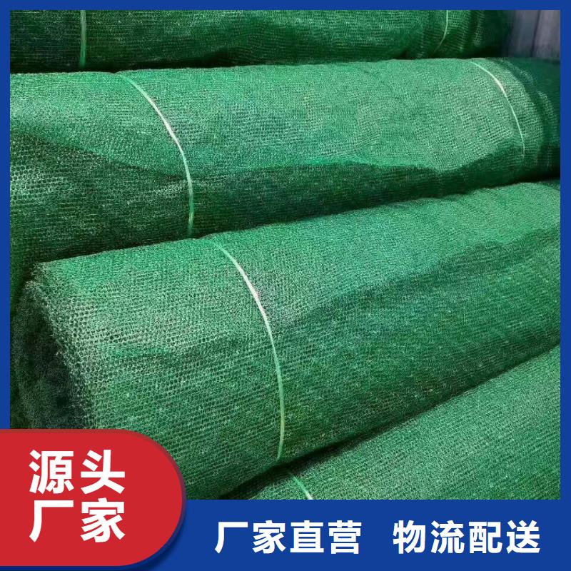 三维植被网_高性价比三维植被网_选择亿路通新材料