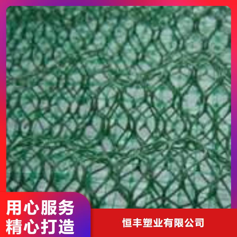三维植被网护坡技术