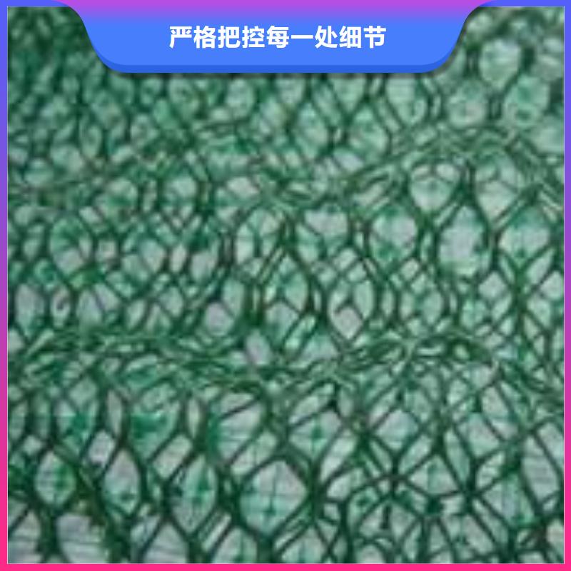 三维植被网PP焊接土工格栅精品选购