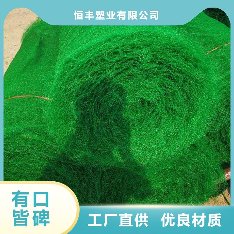 三维植草网——三维植被网批发厂家_欢迎咨询
