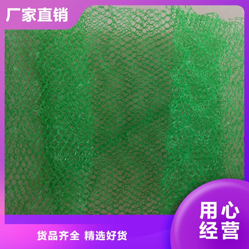 三维植被网PP焊接土工格栅精品选购