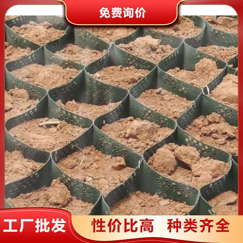 【土工格室】塑料土工滤网产品实拍