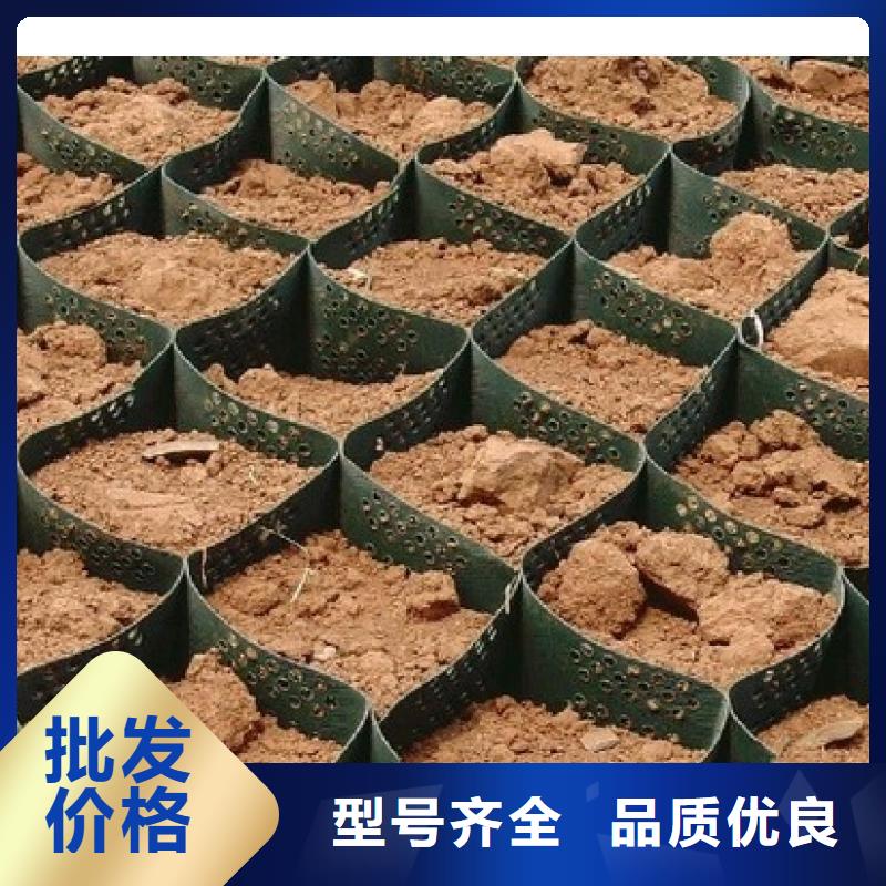 土工格室,土工滤网厂家十分靠谱