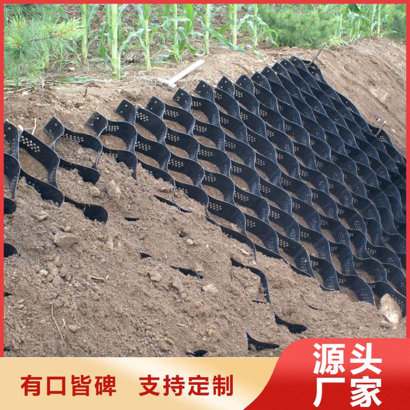 土工格室,蜂巢格室实力厂家直销