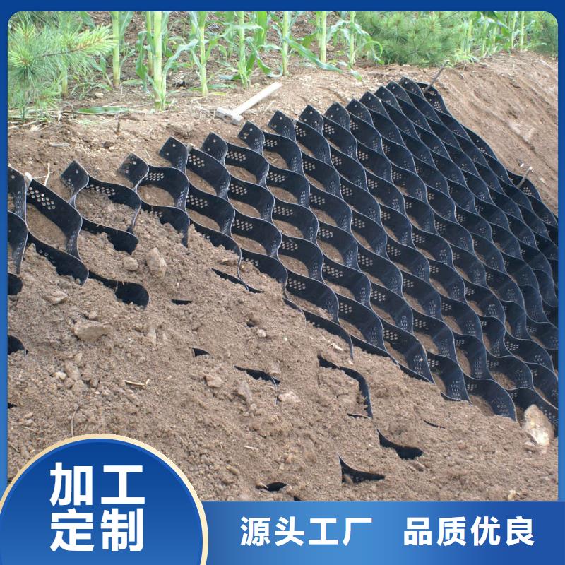产品展示/土工格室_EVA防水板,玻纤土工格栅,土工格室