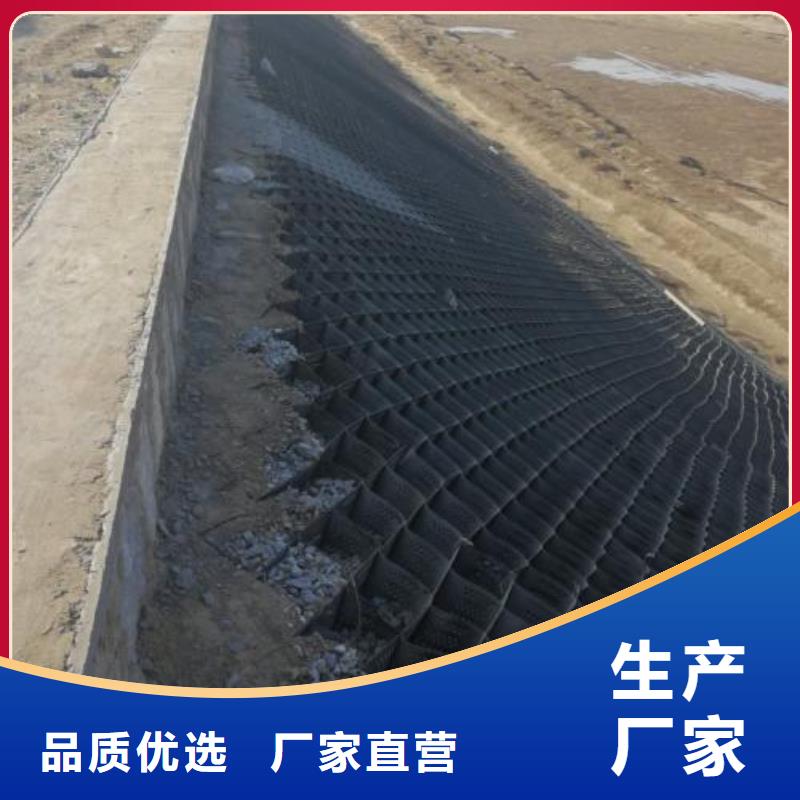 土工格室_蜂巢土工格室价格_护坡土工格室厂家