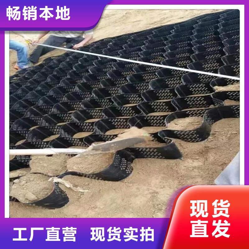 土工格室_HDPE黑色土工膜长期供应