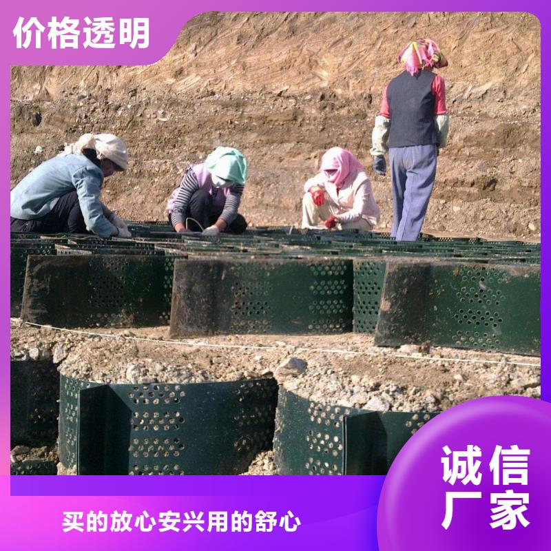 土工格室-蜂巢格室客户好评