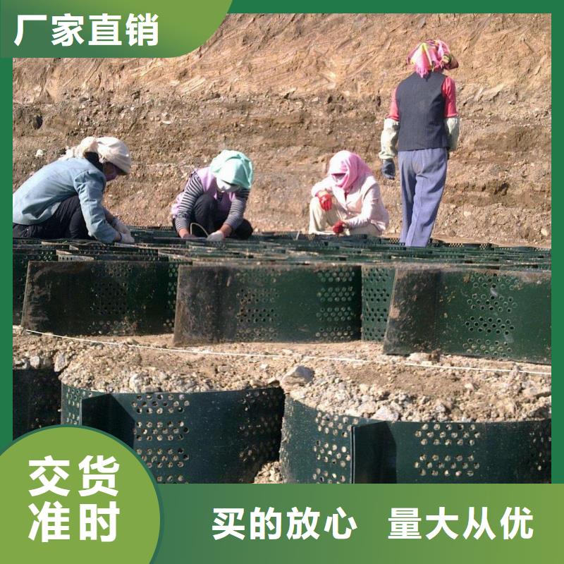 土工格室长丝土工布专业生产厂家