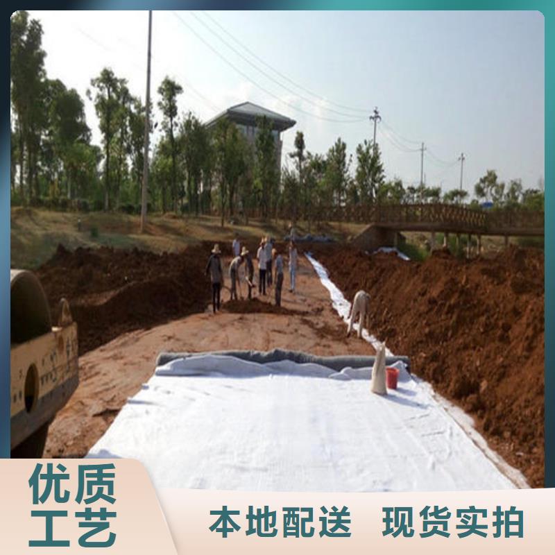 膨润土防水毯【土工布】快速报价