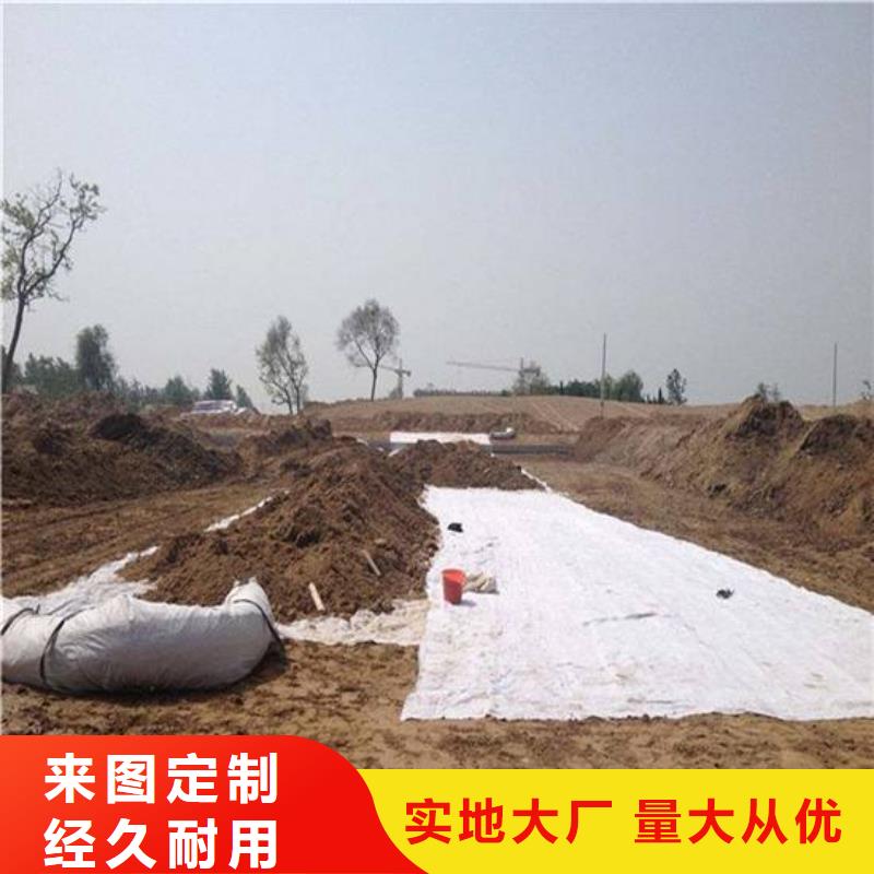 _价格合理_膨润土防水毯厂家
