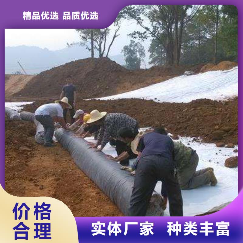 膨润土防水毯型号齐全-货源足-现货发
