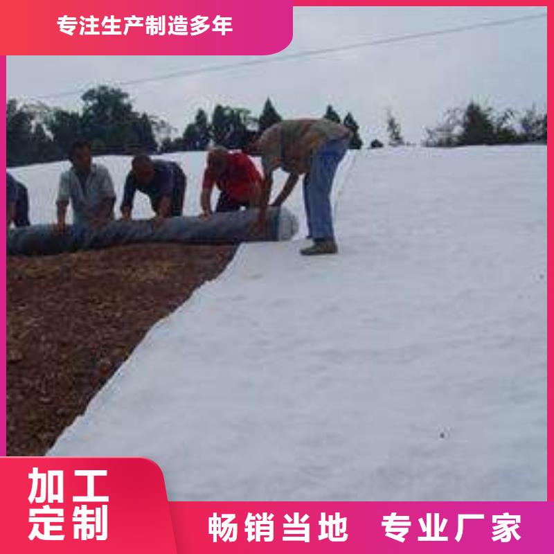 买正宗人工湖用膨润土防水毯_找亿路通_专业生产厂家