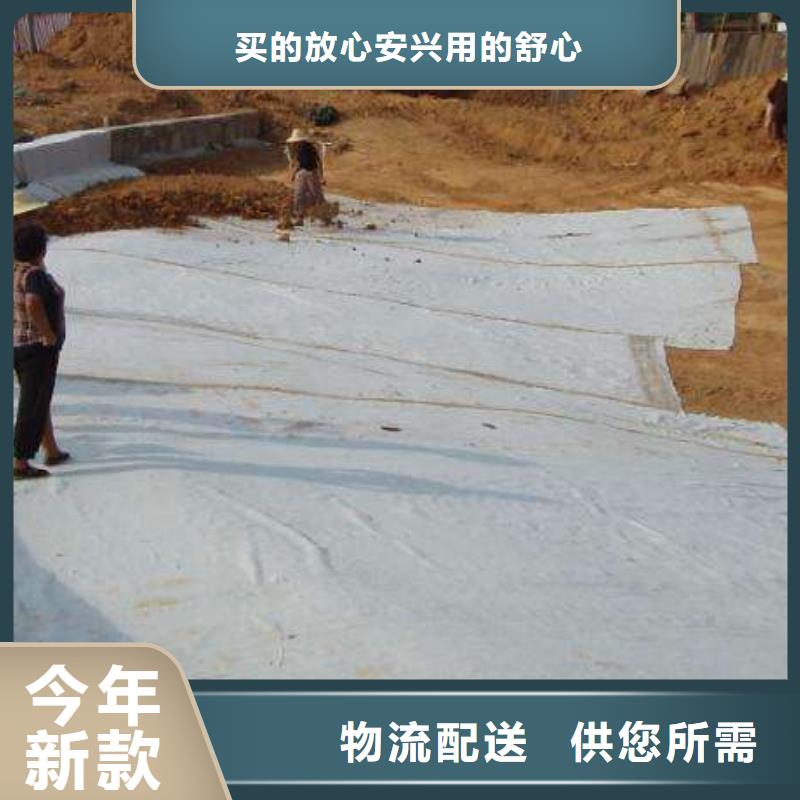 _价格合理_膨润土防水毯厂家