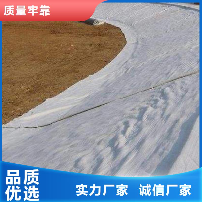 膨润土防水毯_土工膜,土工布,复合土工膜,膨润土防水毯