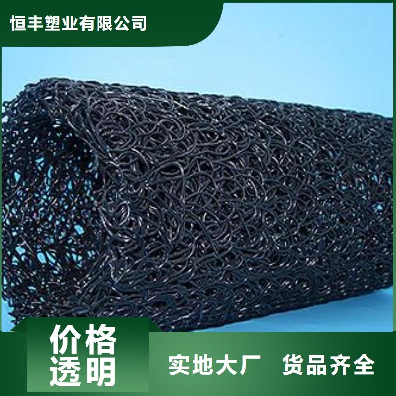 【塑料盲沟防渗土工膜工厂直供】