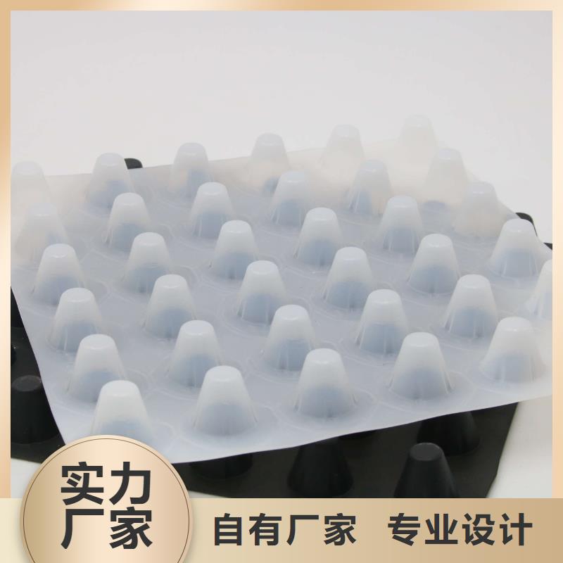 塑料排水板的施工工艺_排水板厂家直销_园林绿化排水板_河道排水板