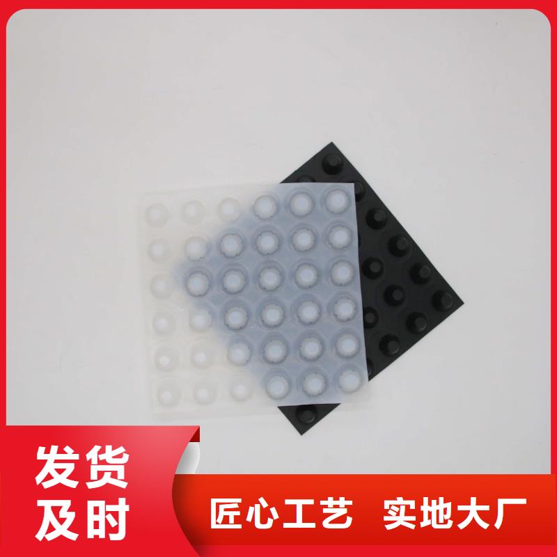 【排水板批发实地厂家凹凸型排水板塑料排水板】价格_